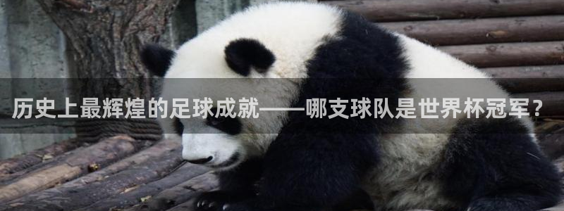 2026世界杯中国队:历史上最辉煌的足球成就——哪支球队是世界杯冠军?