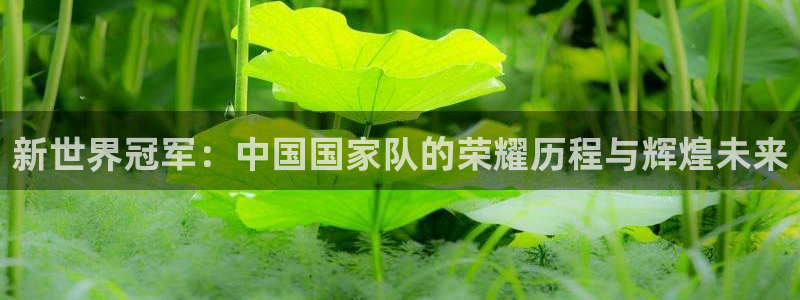 今年的世界杯:新世界冠军:中国国家队的荣耀历程与辉煌未来