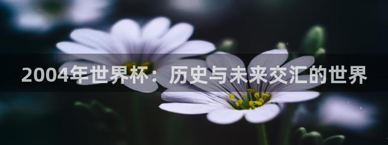 2026世界杯买球:2004年世界杯:历史与未来交汇的世界