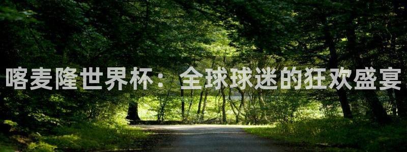 世界杯葡萄牙赛程:喀麦隆世界杯:全球球迷的狂欢盛宴