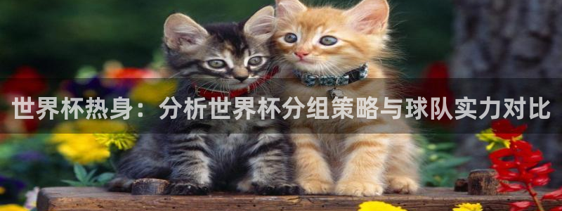 世界杯第一场比赛:世界杯热身:分析世界杯分组策略与球队实力对比