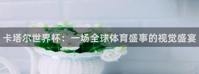 世界杯 赛程:卡塔尔世界杯:一场全球体育盛事的视觉盛宴