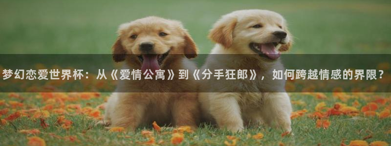 世界杯2026预选赛:梦幻恋爱世界杯:从《爱情公寓》到《分手狂郎》,如何跨越情感的界限?
